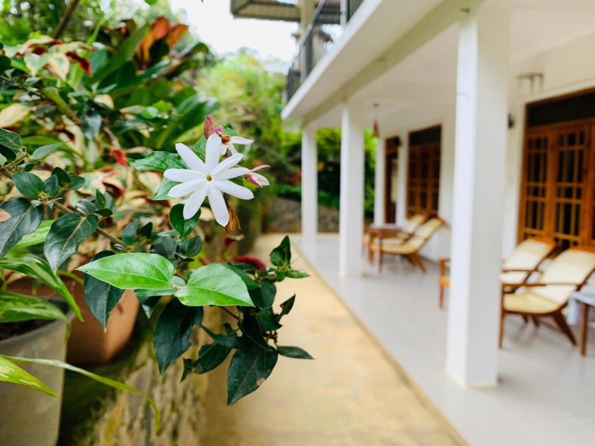 Mount Breeze Ella Hotel Exterior photo